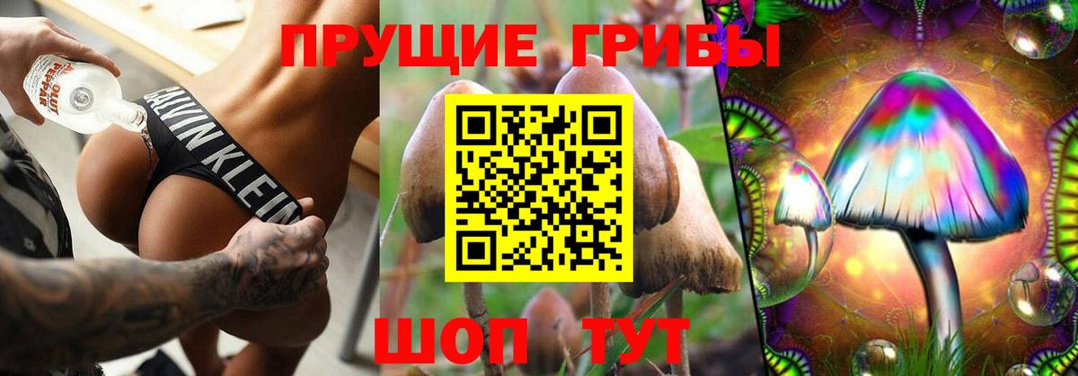 Псилоцибиновые грибы Magic Shrooms Россия