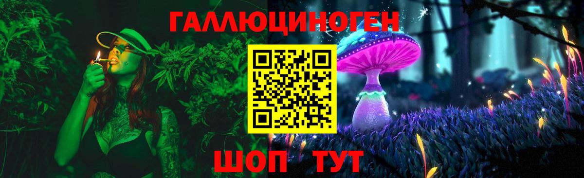 Галлюциногенные грибы Psilocybe  Вход с VPN  Россия 